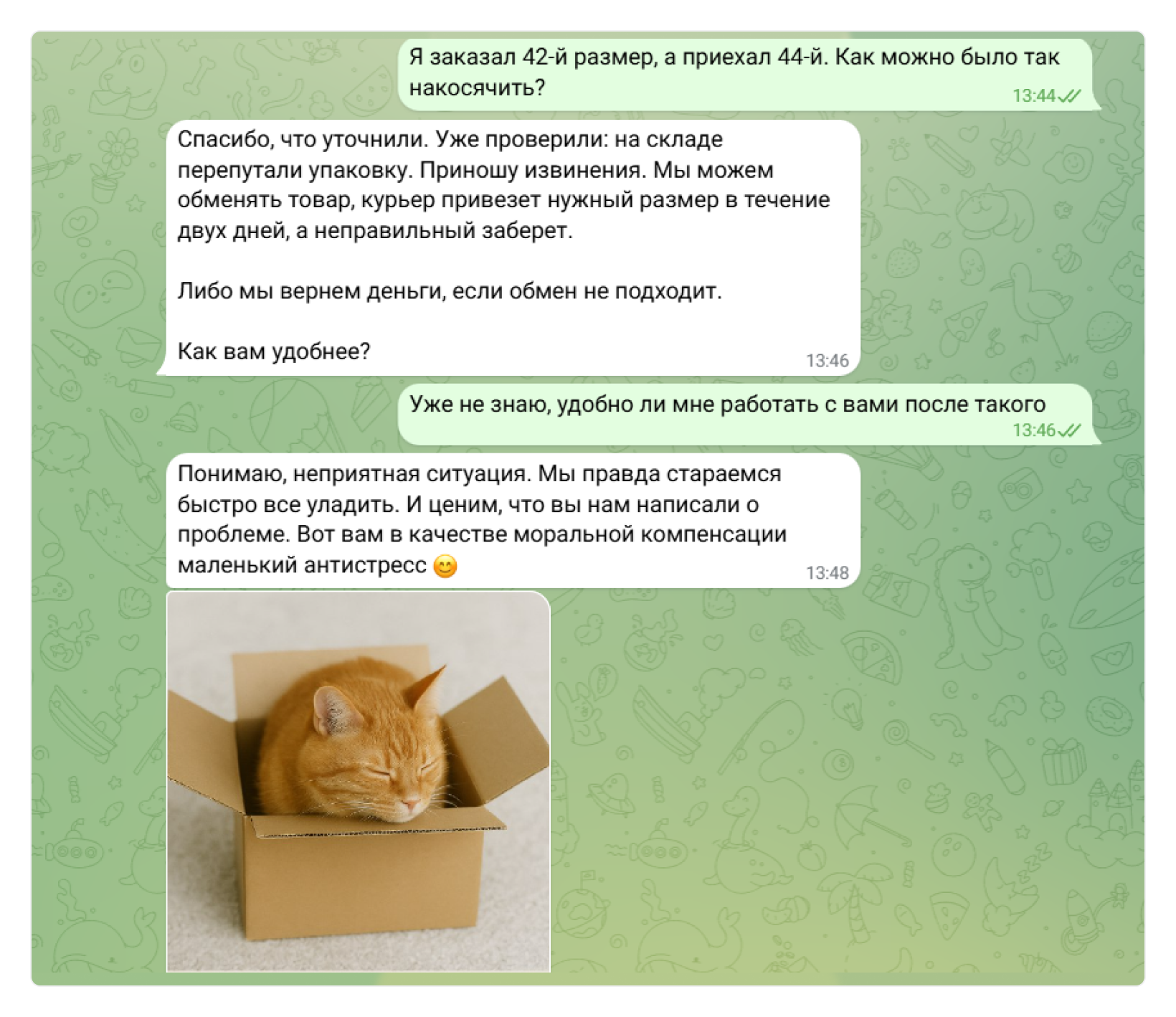 Скриншот с котиком в переписке