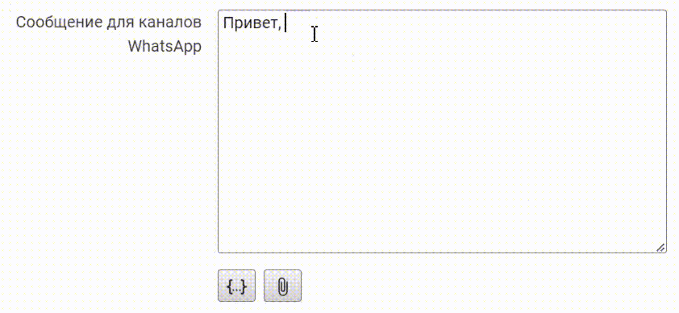 Робот Б24 Wazzup 5