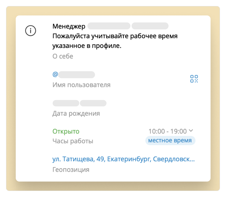 Пример профиля продавца в WhatsApp и Telegram
